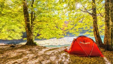 Bolu Kamp Yerleri