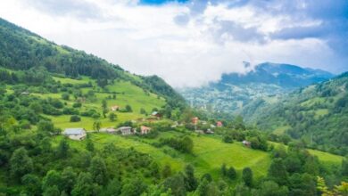 Trabzon Kamp Yerleri